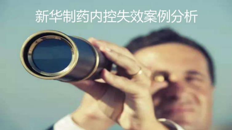 新華制藥內(nèi)控失效案例分析