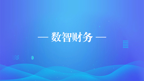 數(shù)智財(cái)務(wù) 